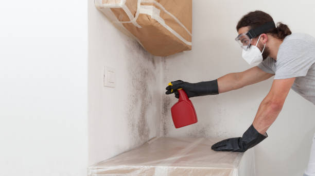 Professional Mold Removal technician working in Old Bethpage, NY